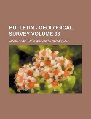 Book cover for Bulletin - Geological Survey Volume 38