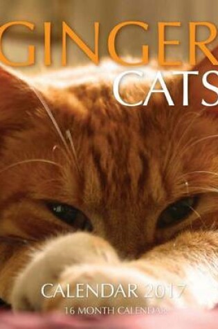 Cover of Ginger Cats Calendar 2017