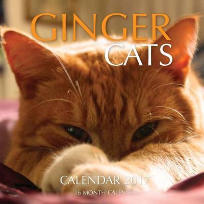 Book cover for Ginger Cats Calendar 2017