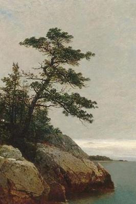 Book cover for John Frederick Kensett Hudson River School the Old Pine, Darien, Connecticut