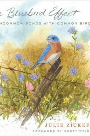 Cover of Bluebird Effect