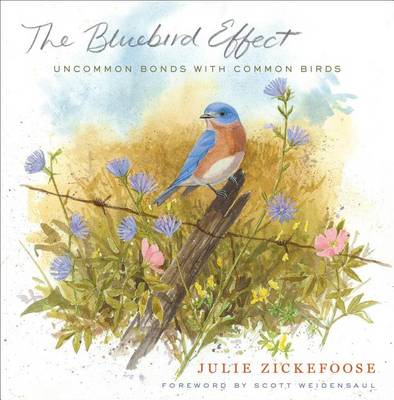 Book cover for Bluebird Effect