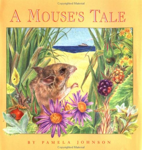 Book cover for A Mouse's Tale