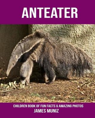 Book cover for Anteater