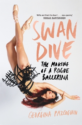 Book cover for Swan Dive