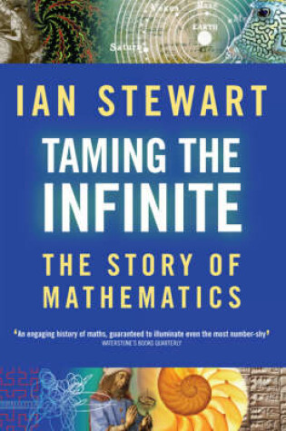 Cover of Taming the Infinite