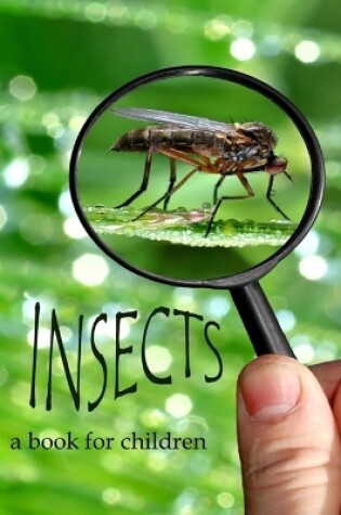 Cover of Insects - a book for children