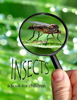 Book cover for Insects - a book for children