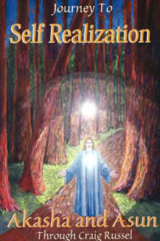 Cover of Journey to Self Realization