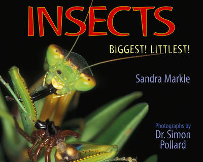 Book cover for Insects