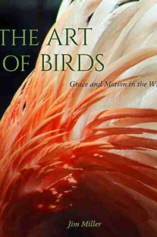 Cover of The Art of Birds