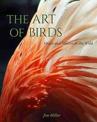 Book cover for The Art of Birds