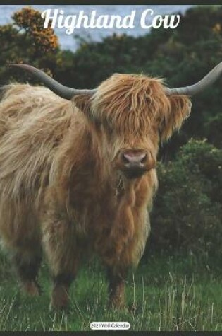 Cover of Highland Cow 2021 Wall Calendar