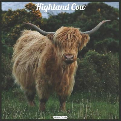 Book cover for Highland Cow 2021 Wall Calendar