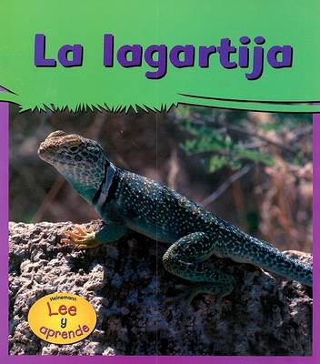 Cover of La Lagartija