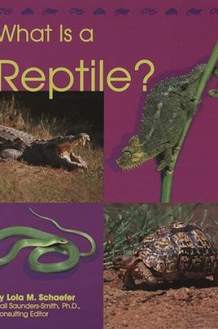 Cover of What Is a Reptile?