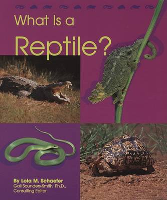 Cover of What Is a Reptile?