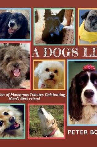 Cover of A Dog's Life