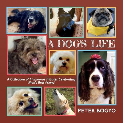 Book cover for A Dog's Life