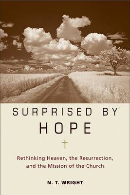 Book cover for Surprised by Hope