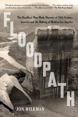 Book cover for Floodpath