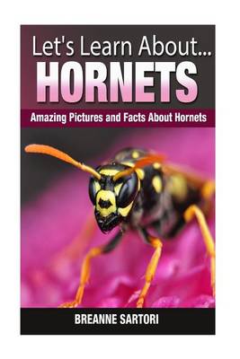 Book cover for Hornets