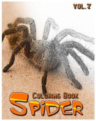 Book cover for Spider