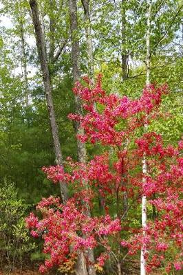 Cover of 2019 Weekly Planner Flowering Trees Forest's Edge 134 Pages