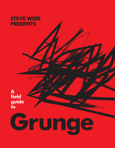 Book cover for A Field Guide to Grunge