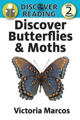 Book cover for Discover Butterflies & Moths