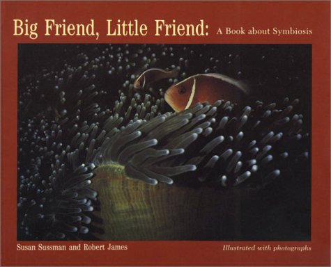 Book cover for Big Friend, Little Friend