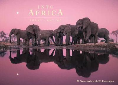 Book cover for Into Africa: Blank Boxed Notecards