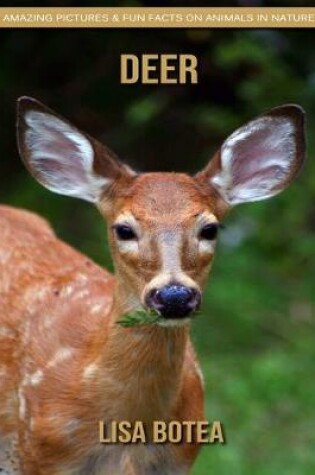 Cover of Deer