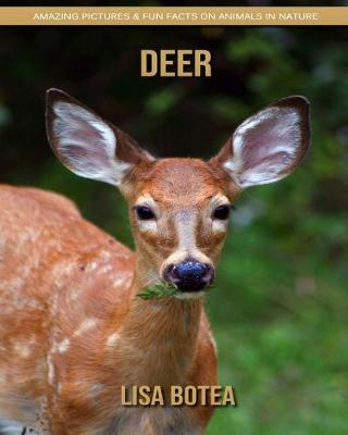 Book cover for Deer