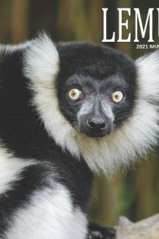 Cover of Lemur