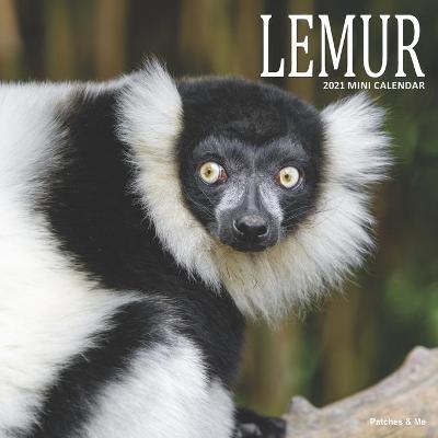 Book cover for Lemur