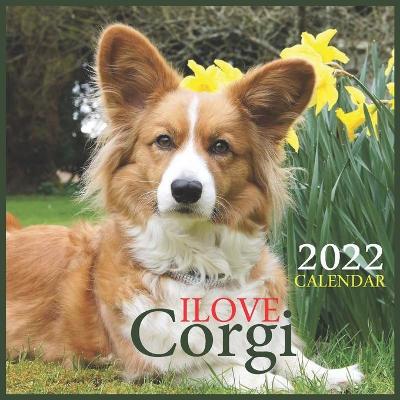 Book cover for Ilove Corgi CALENDAR 2022