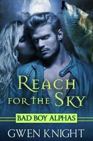 Cover of Reach for the Sky