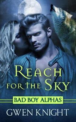 Book cover for Reach for the Sky