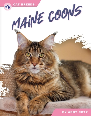 Cover of Maine Coons