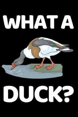 Book cover for What A Duck?