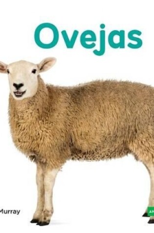 Cover of Ovejas (Sheep)