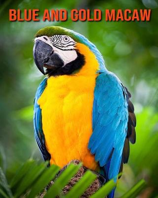 Book cover for Blue and Gold Macaw