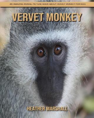 Book cover for Vervet Monkey