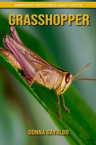 Cover of Grasshopper