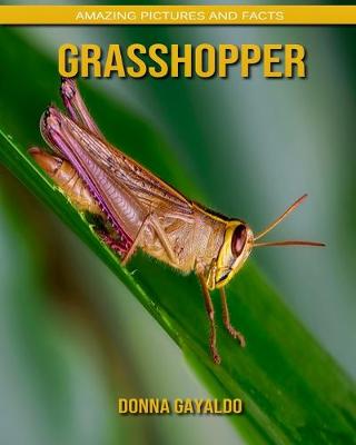 Book cover for Grasshopper