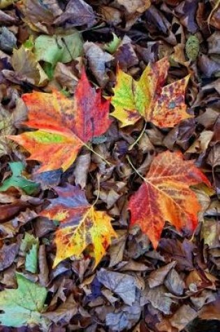 Cover of Colorful Leaves in the Fall Journal