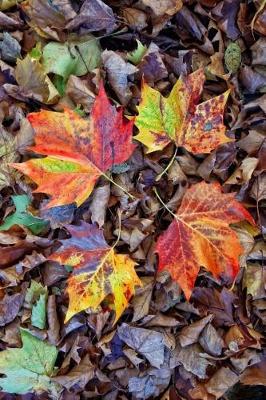 Book cover for Colorful Leaves in the Fall Journal