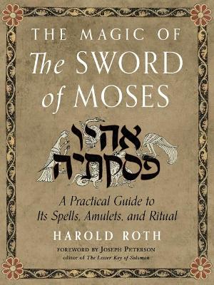 Book cover for The Magic of the Sword of Moses