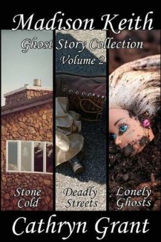 Cover of Madison Keith Ghost Story Collection - Volume 2 (Suburban Noir Ghost Stories)